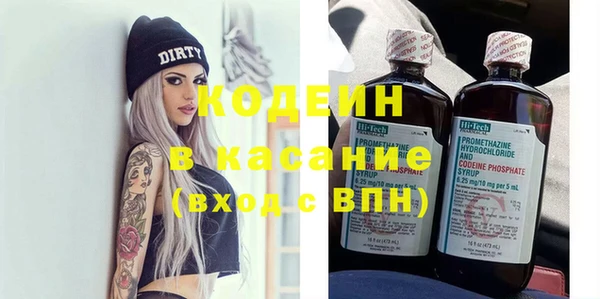 прущие грибы Кулебаки