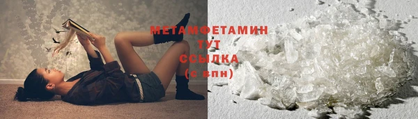 прущие грибы Кулебаки