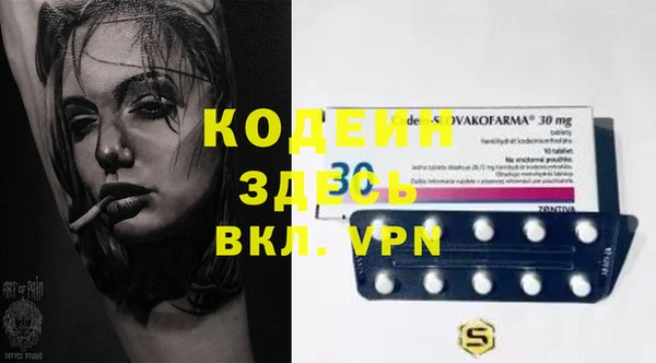 прущие грибы Кулебаки