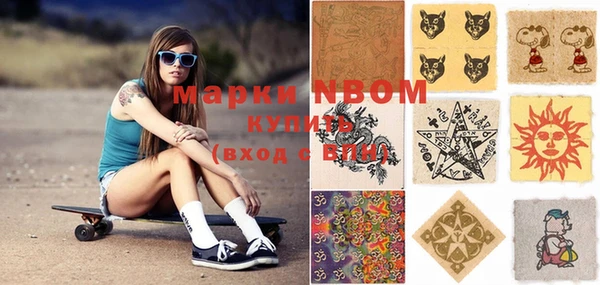 прущие грибы Кулебаки