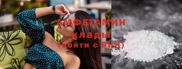 прущие грибы Кулебаки